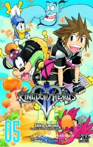 Kingdom hearts