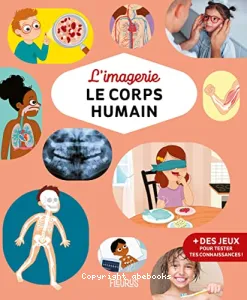 L'imagerie le corps humain