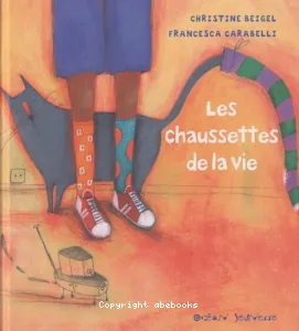 Les chaussettes de la vie