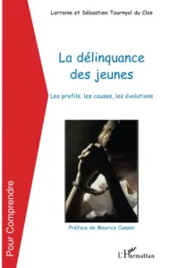 La délinquance des jeunes