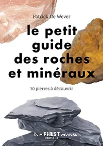 Le petit guide des roches et minéraux