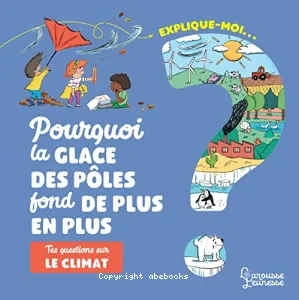 Pourquoi la glace des pôles fond de plus en plus ?